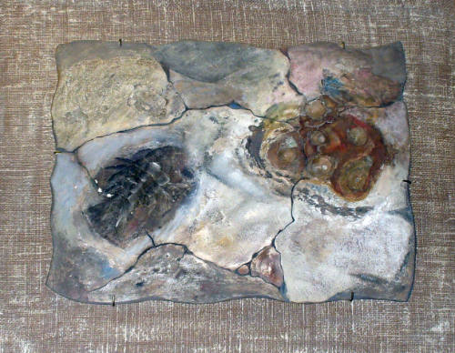 Shell Fossils