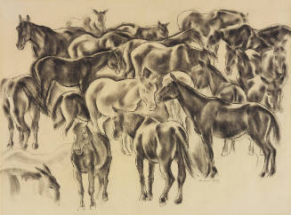 Horses On the La Motto Ranch, La Salle County, Texas