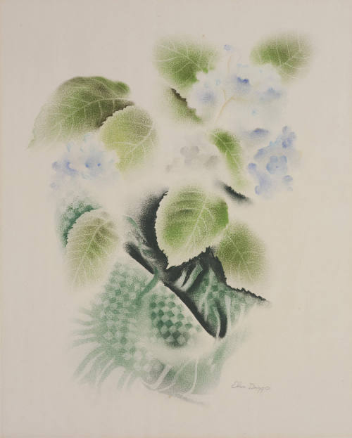 Hydrangeas