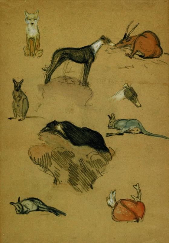 Page of Animal Subjects