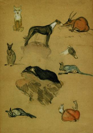 Page of Animal Subjects