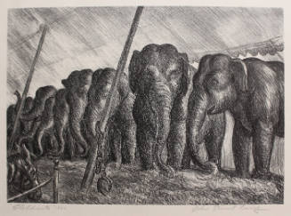 Elephants