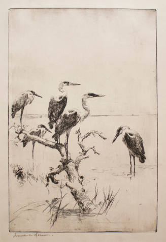 Herons at Rest