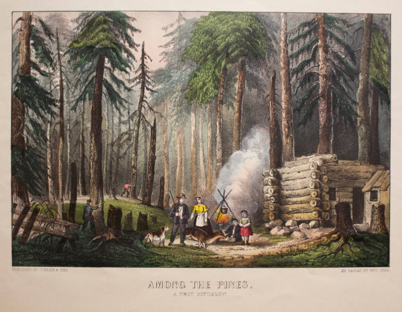 Among the Pines:  A First Settlement