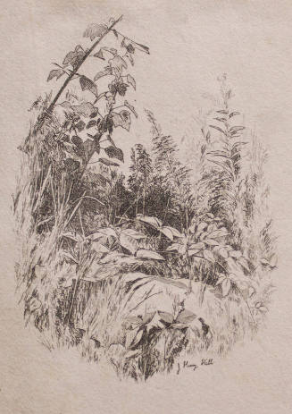 Woodland Study