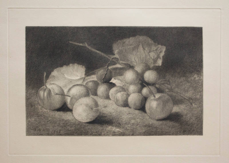 Fruit Still Life