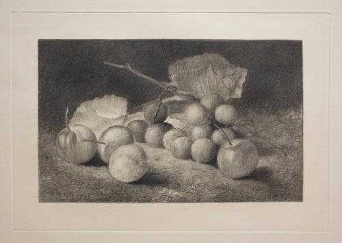 Fruit Still Life