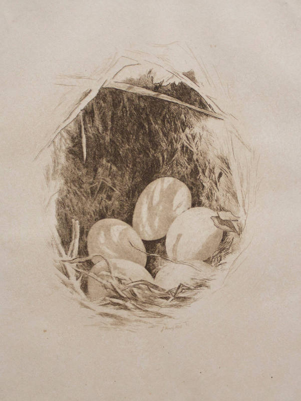 A Lark's Nest