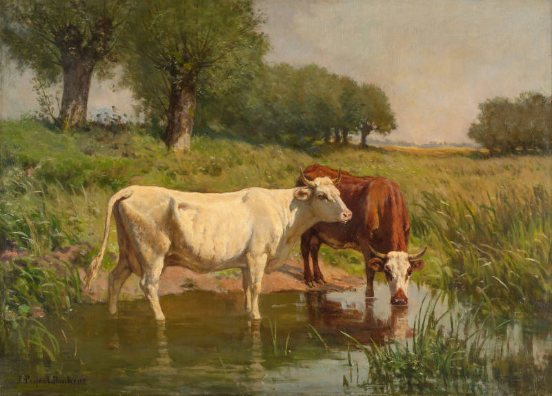 Cattle by a Stream