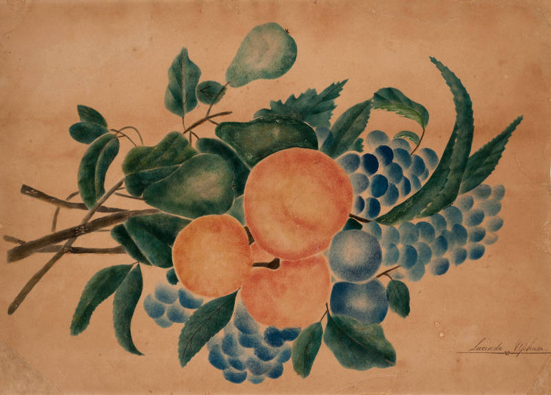 Pears, Peaches, Plums and Grapes