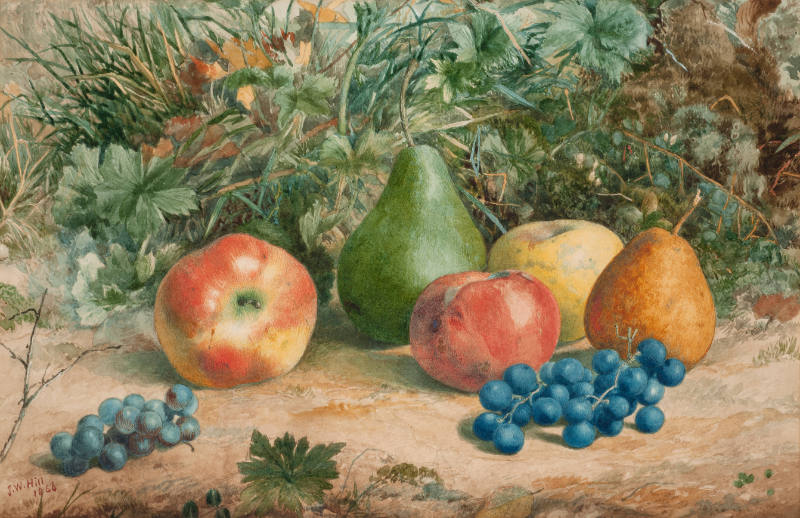 Still Life with Fruit