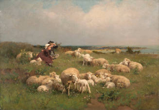 Sheep Pasture, Springtime
