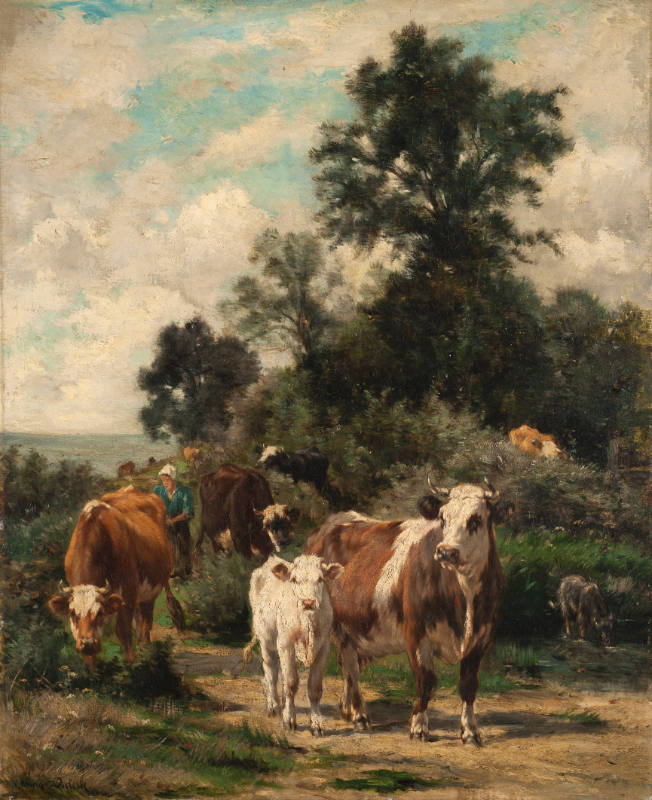 Cattle and Sheep