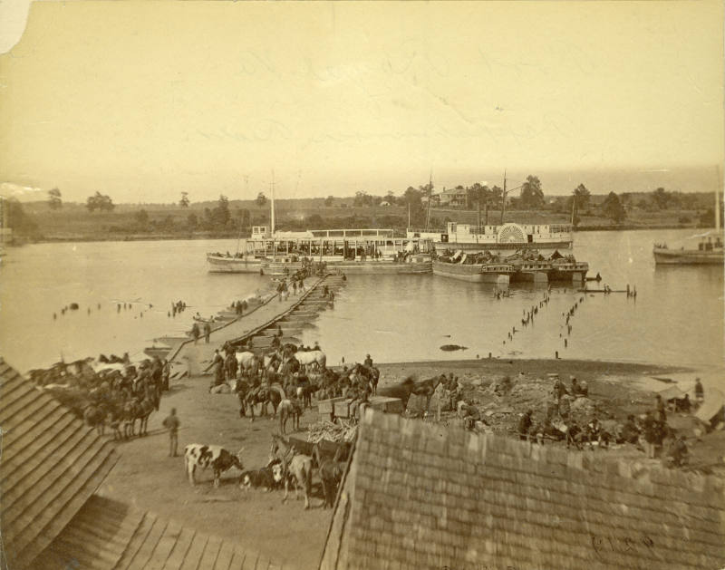 Rappahannock River, Port Royal, Virginia