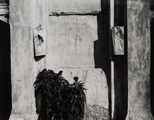 New Orleans Cemetery