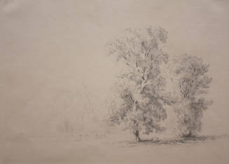Study of Two Trees