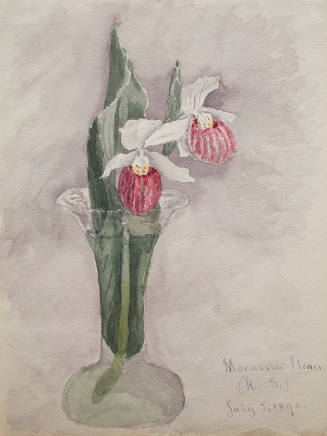 Two Mocassin Flowers in a Vase