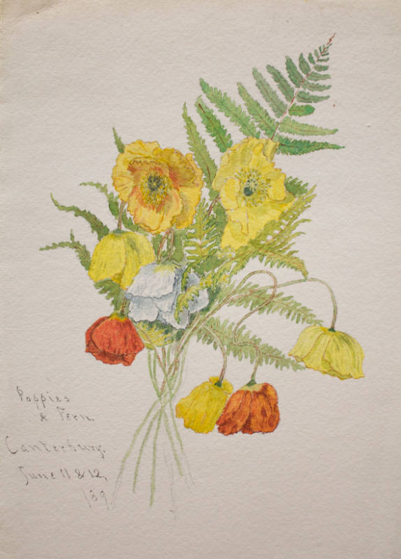 A Bouquet of Poppies and Fern