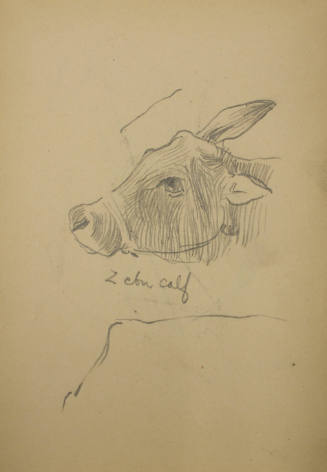 Sketchbook: Animal and Figure Studies