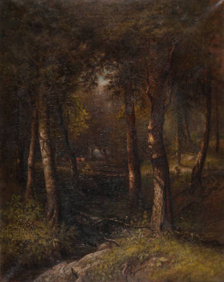A View in the Woods