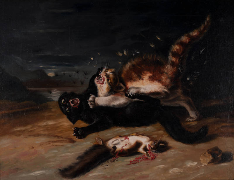 Two Cats Fighting