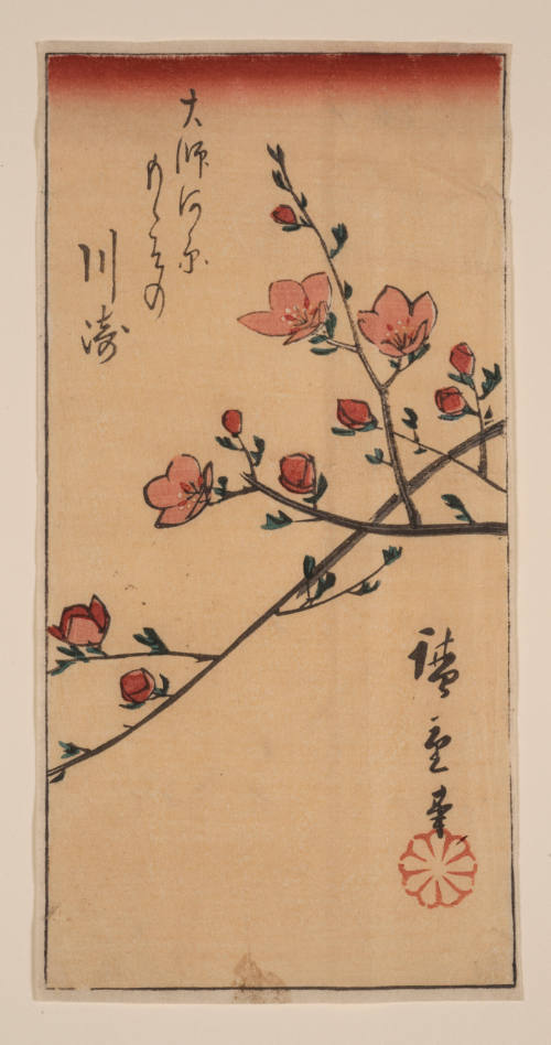 Flowering Prunus Branch