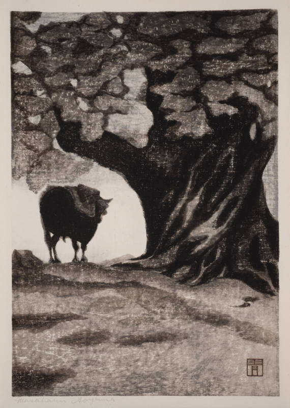 Ox Under a Tree