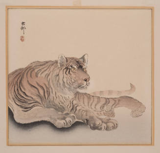 Recumbent Tiger