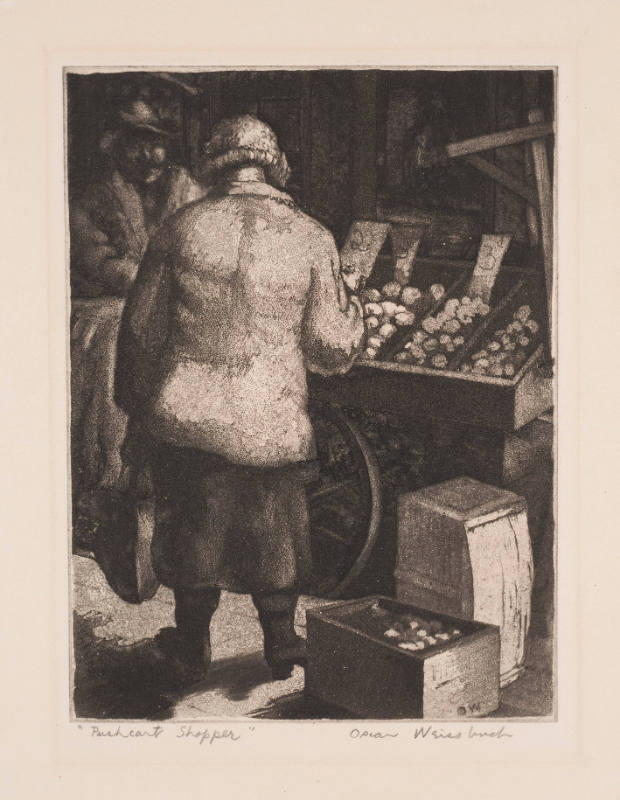 Pushcart Shopper