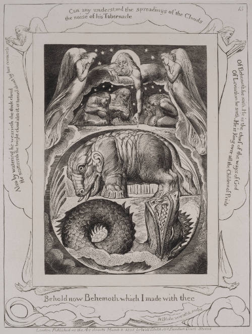 Behold Now Behemoth Which I Made with Thee. Plate 15 from the Illustrations of the 
Book of Job
