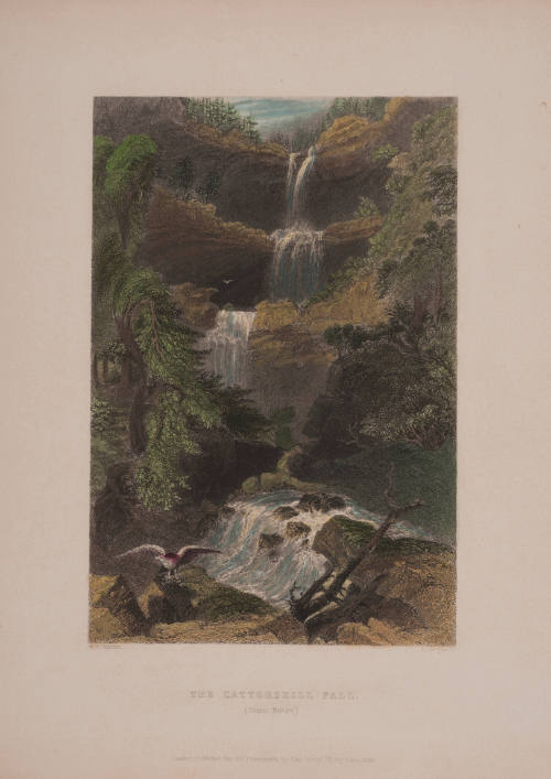 The Catterskill Fall (from Below)