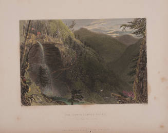The Catterskill Falls (from above the Ravine)