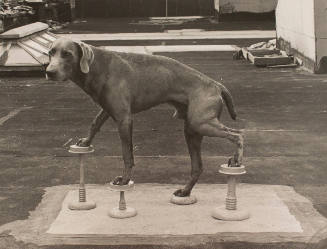 Man Ray on Stilts, No. 3