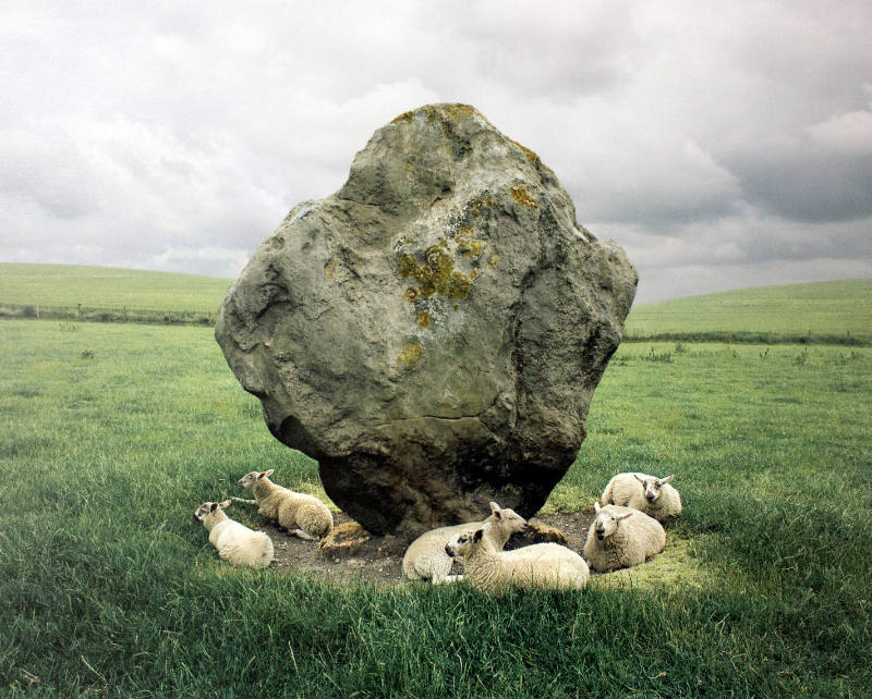 Sheep and Standing Stone, Avebury, England