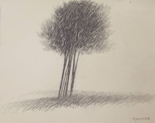 A Small Copse in a Field