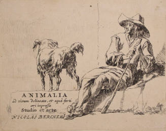 Animalia:  Cover