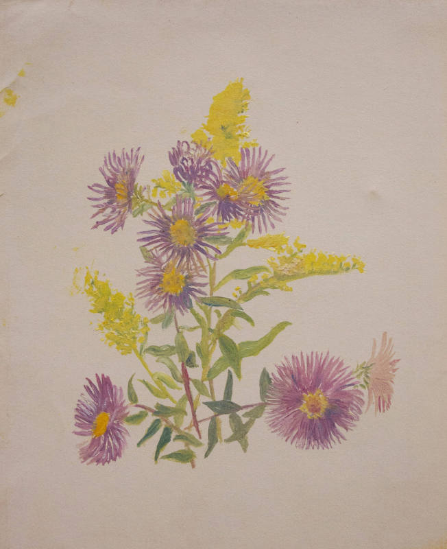 Asters and Goldenrod