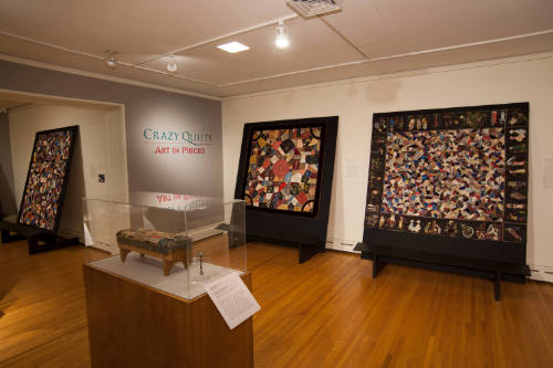 Crazy Quilts: Art in Pieces