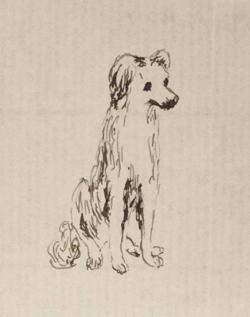 A Seated Dog