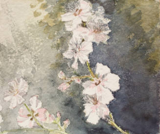 A Branch of Cherry Blossoms