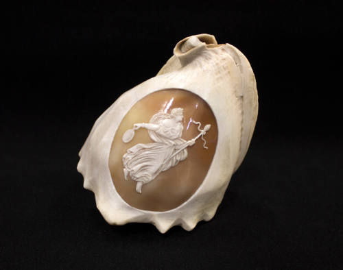 Carved Conch Shells