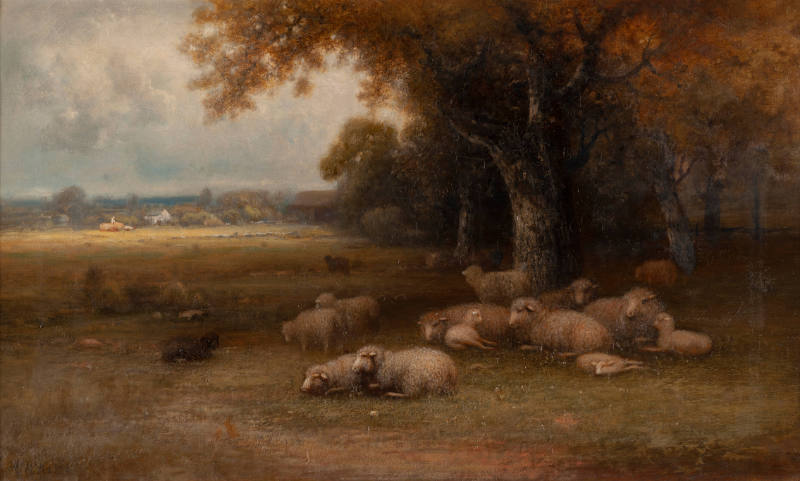 Landscape with Sheep