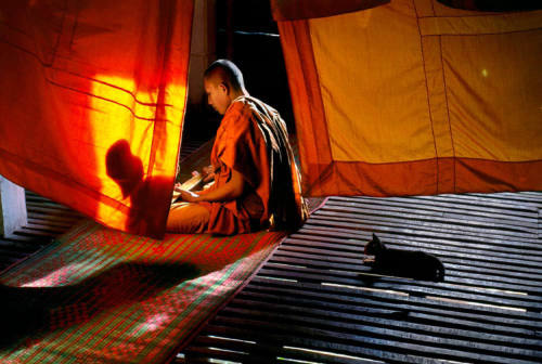 A Monk Studies Buddhist Scripture, Aranyaprathet, Thailand