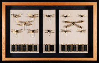 RB Solar Labels: Dragonflies