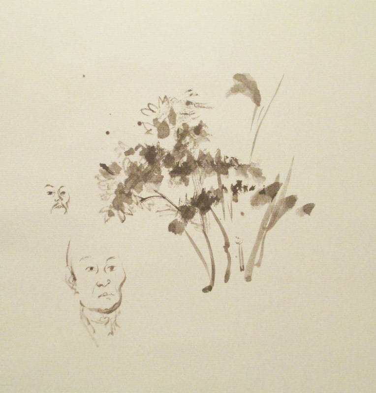 Study of Head and Tree